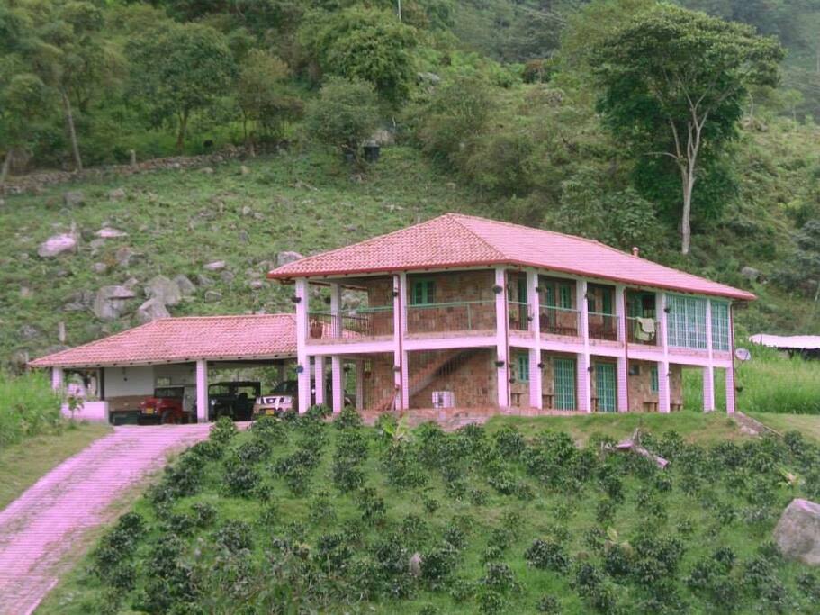 Coffe production type house,