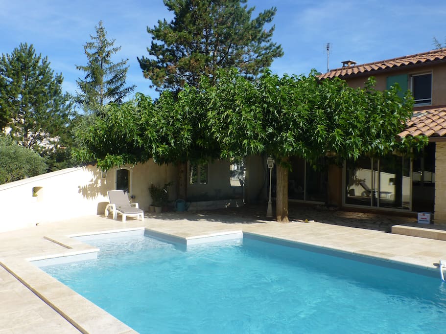 The pool with its padded steps, ideal for lounging.