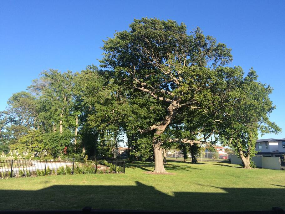 Beautiful Parklike Setting