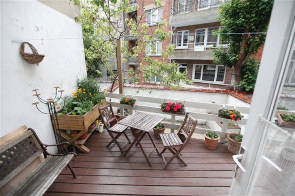 Terrace + garden