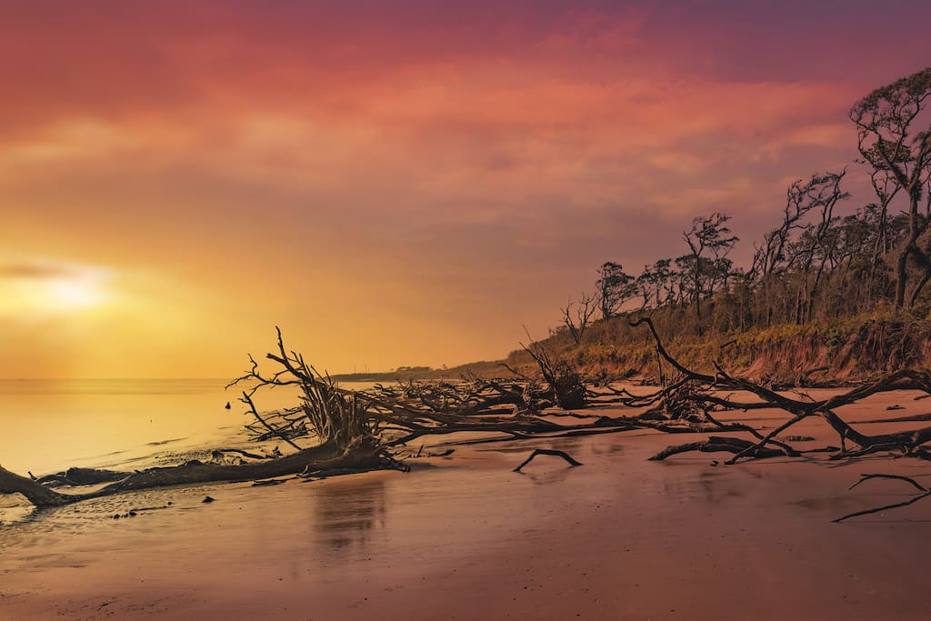 Find some solace on the driftwood beach...amazing.