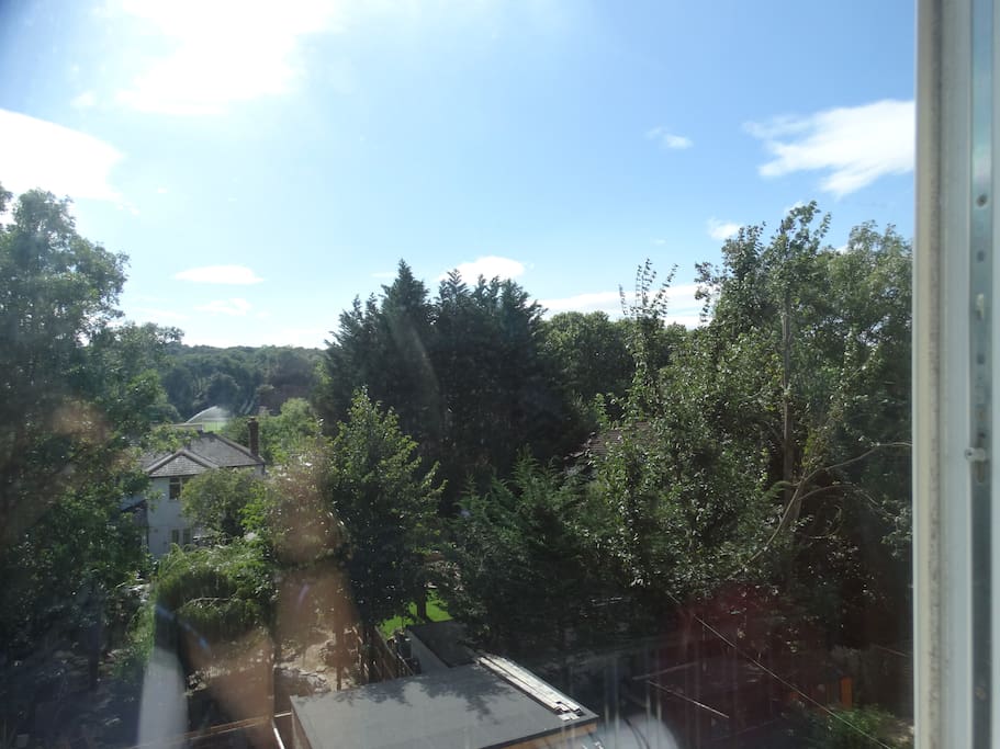 view from the wndow
