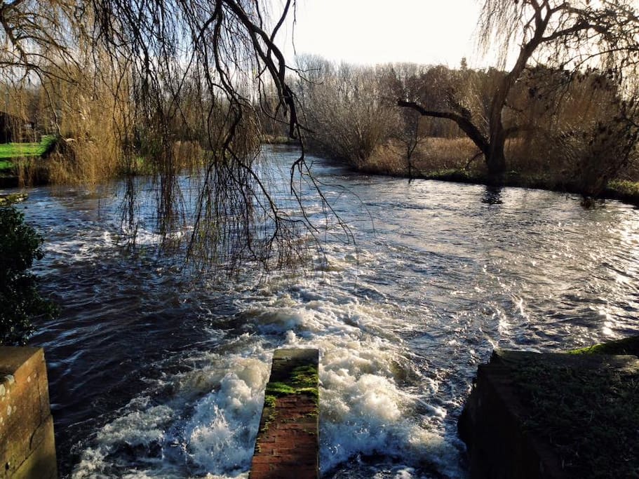 Taverham Mill weir pool