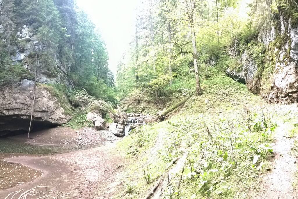 The caves are incredible