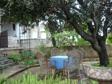 Apartment Joso SILBA above best beach of Adriatic