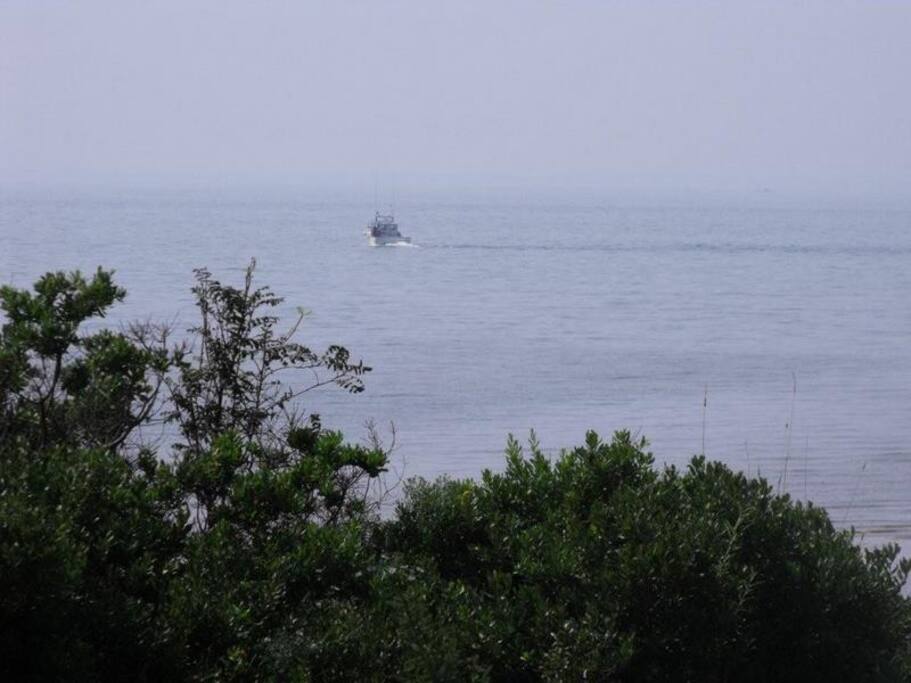 view from your deck