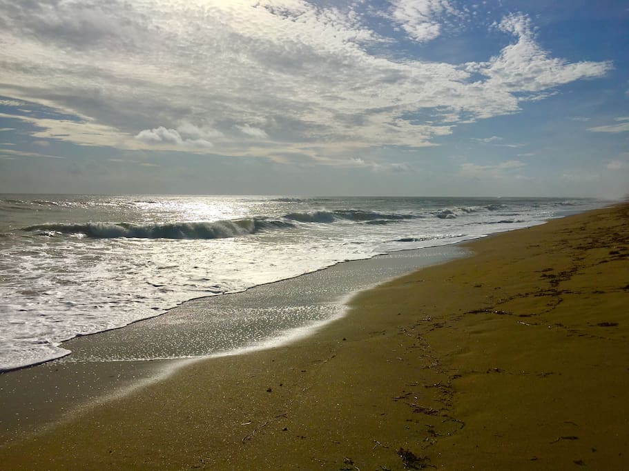 Typical Day at the Beach!