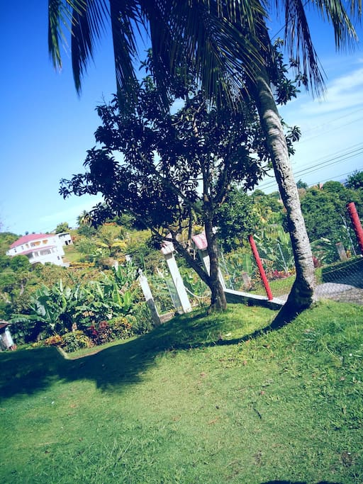 This is the front of my home