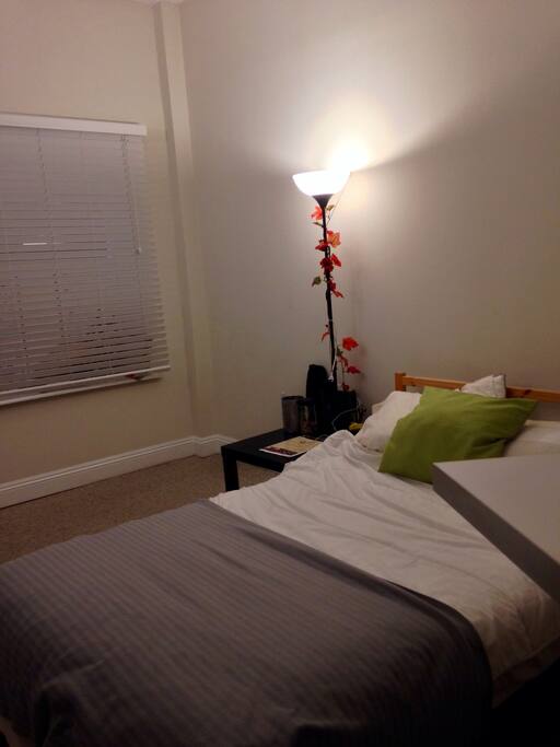 bed frame, mattress, and lights