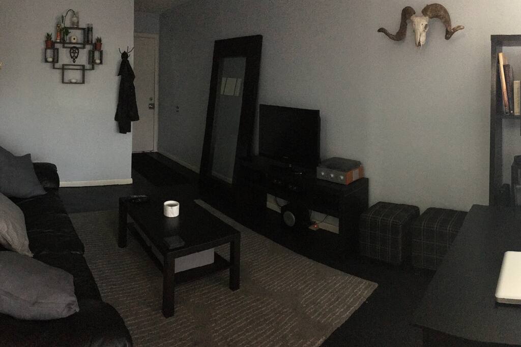 tv+roku+dvd+hdmi+record player