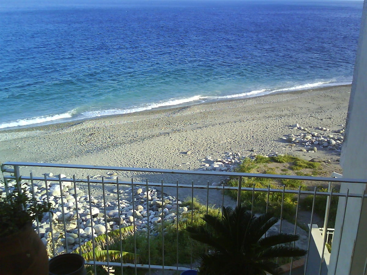 A serene view of the beach is captured from a terrace, featuring gentle waves lapping against a sandy shore. Smooth stones line the water's edge, with lush greenery visible nearby. The scene reflects a peaceful coastal environment, inviting relaxation and connection with nature.