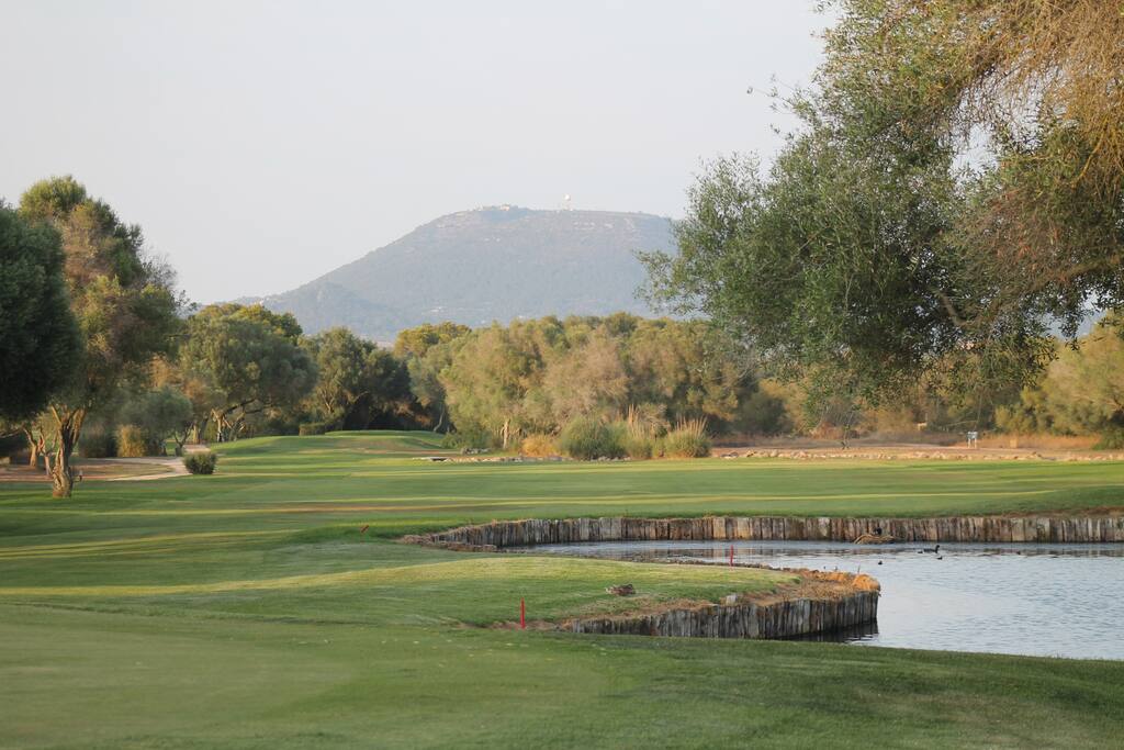 Two golf courses and many facilities on site