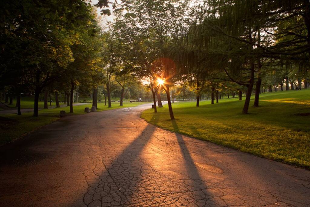 Parc Lafontaine, 1 street away