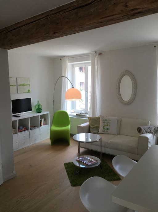 Wohnbereich mit Sofa, TV, Büchern