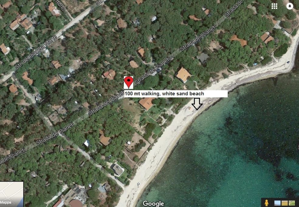 Google map