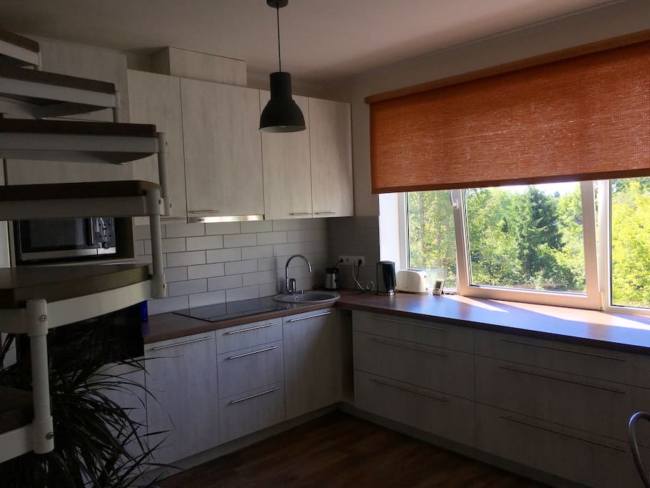 Open kitchen with appliances. Oven, stove, microwave, toaster, blender, boiler