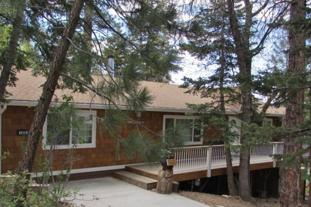 Nice peaceful woodsy front yard!