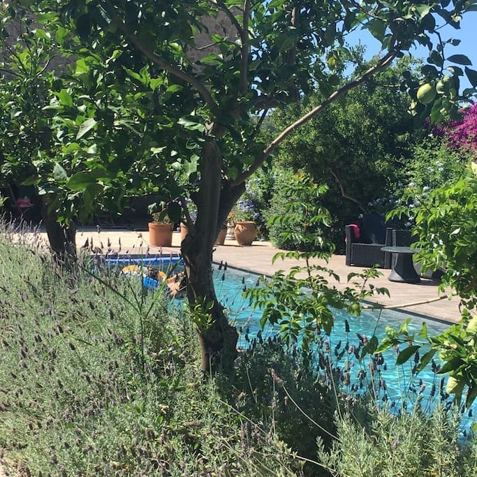 view to the swimming pool