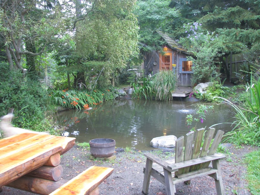 Our tiny house on tiny waterfront