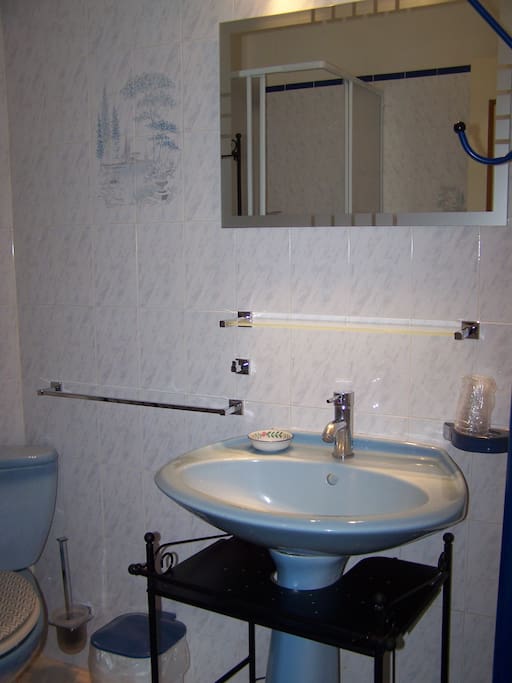 Salle d'eau avec WC