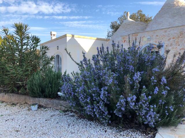 Trulli, Ulivi e Piscina – Ostuni gallery image 4