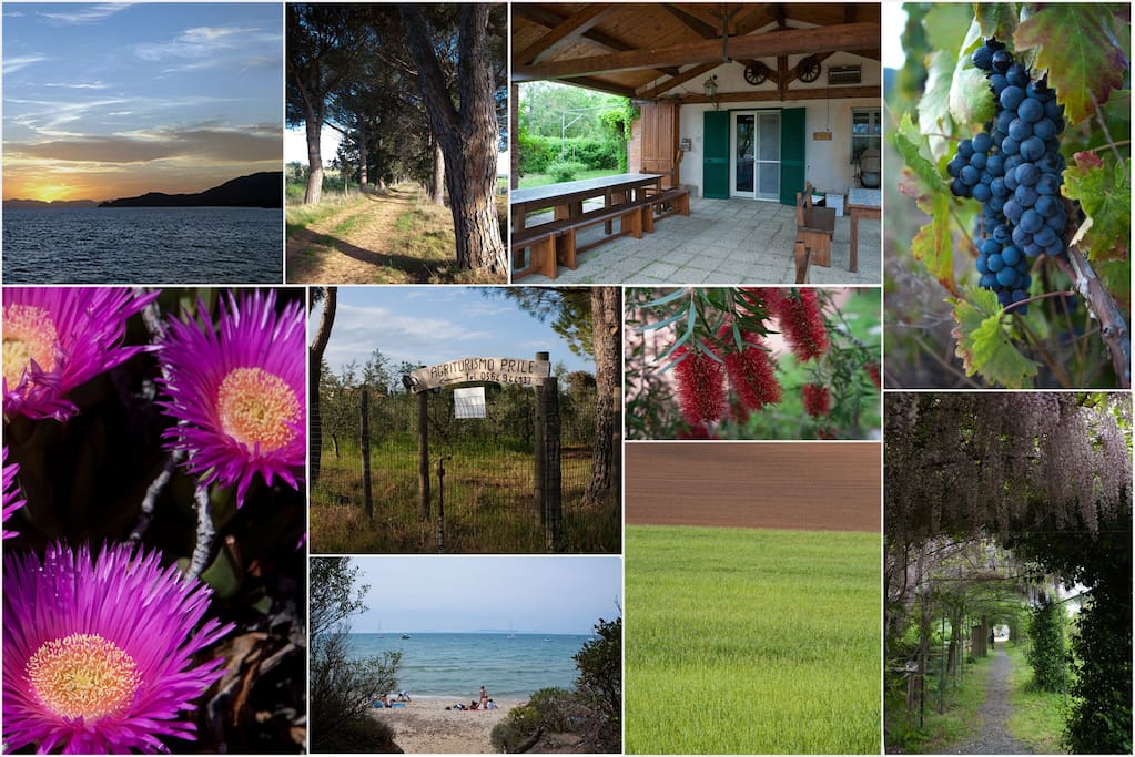 Agriturist Prile - Collage