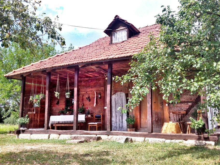 Front part of the cabin