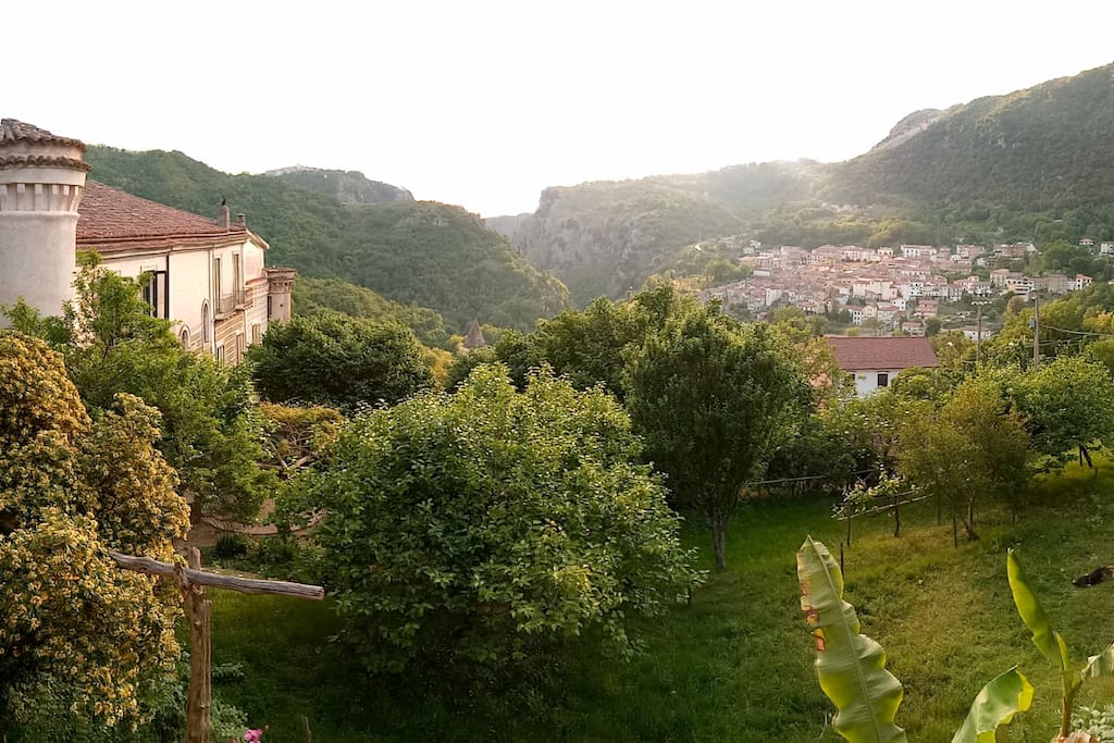 garden view with the Palazzo