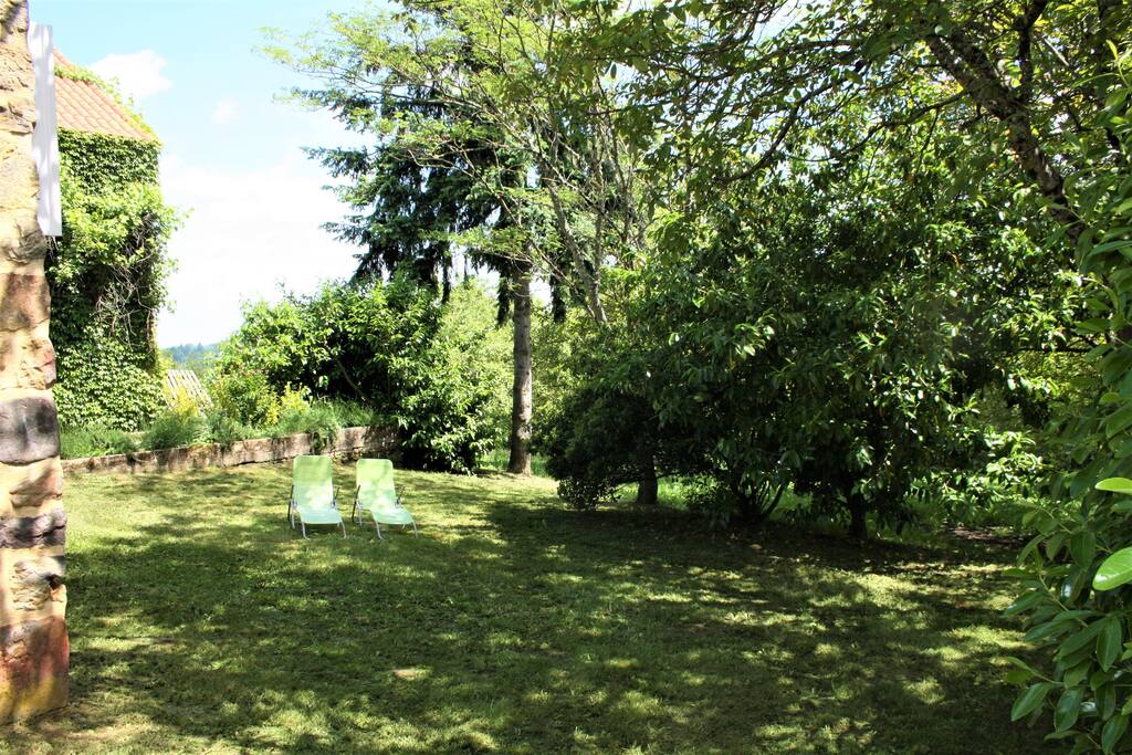 Le jardin / the garden