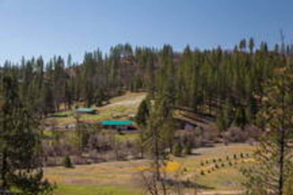 Large groups, by Yosemite, private, late noise OK! Houses for Rent in Coulterville, California