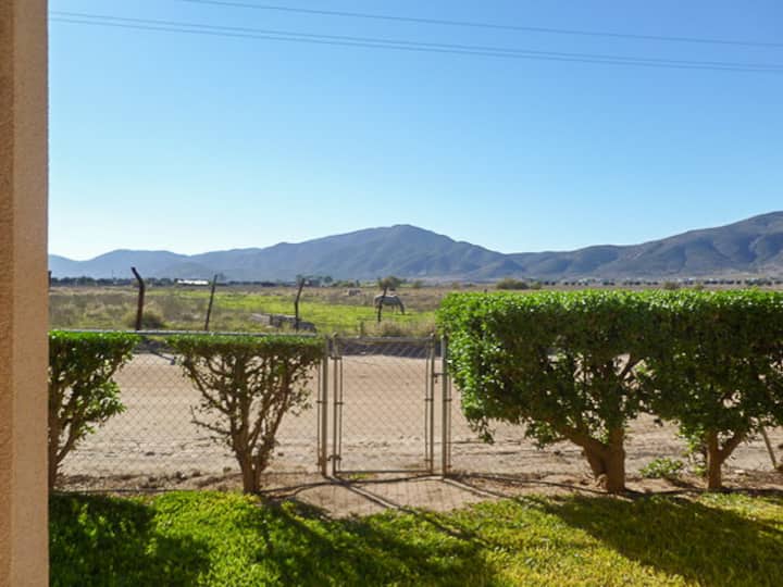 Atardecer Valle de Guadalupe Family Home. Houses for Rent in Ejido El