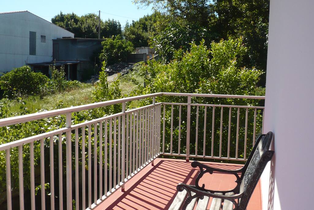 Terraza (2)