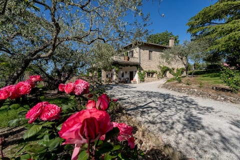 The "Capanna" among the olive trees, a special vacation