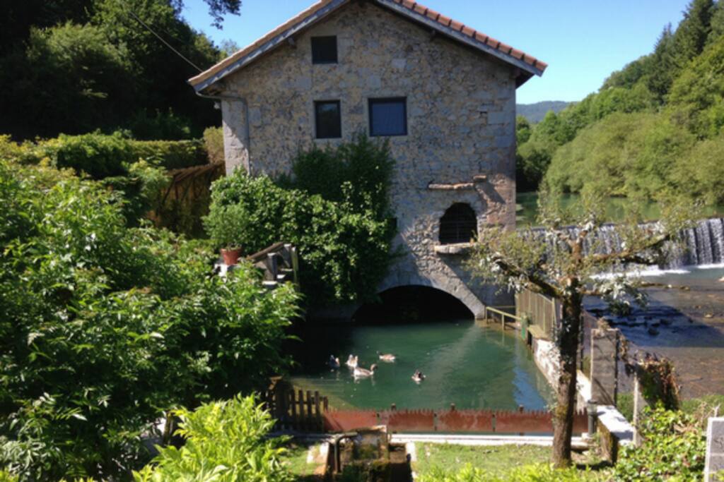 Ocas del Molino de Alli