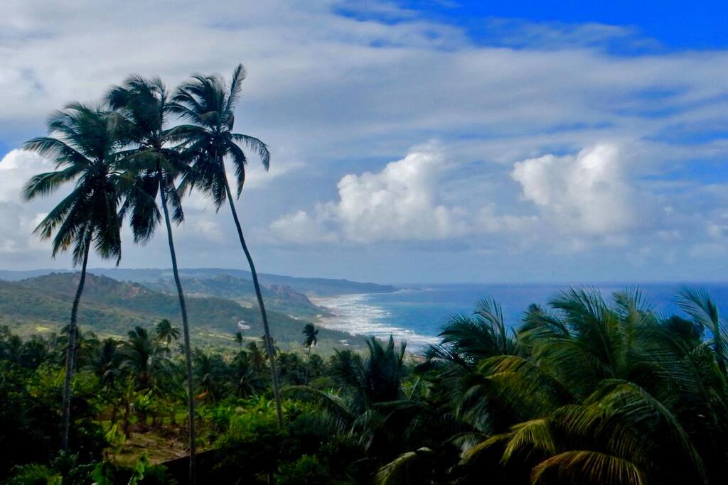 View from the terrace overlooking the Atlantic Ocean and the east coast.