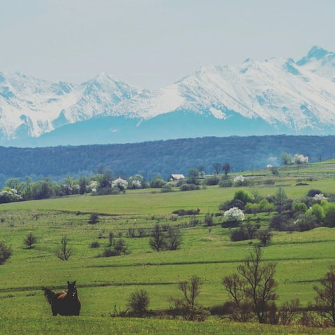 SebeÈ™u De Sus Vacation Rentals Homes Sibiu Romania Airbnb