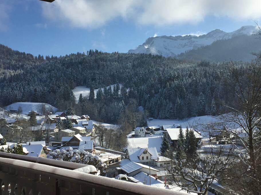 The Pilatus from the garden