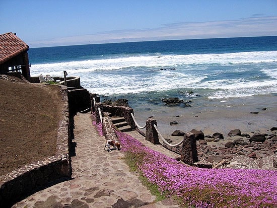 A stone pathway lined with vibrant pink flowers leads down to rocky shores. The ocean waves gently crash along the coastline, while the clear blue sky enhances the serene landscape. The path is bordered by a natural area, creating a peaceful setting.