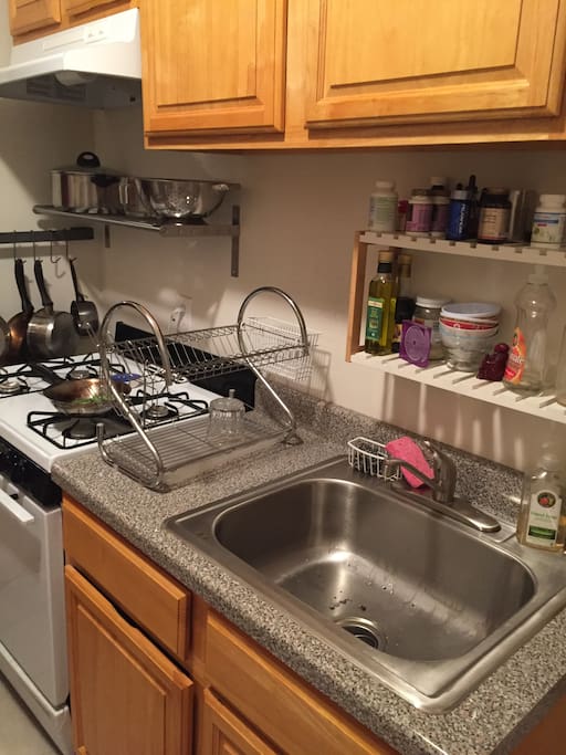 Gas oven/burners and big sink.