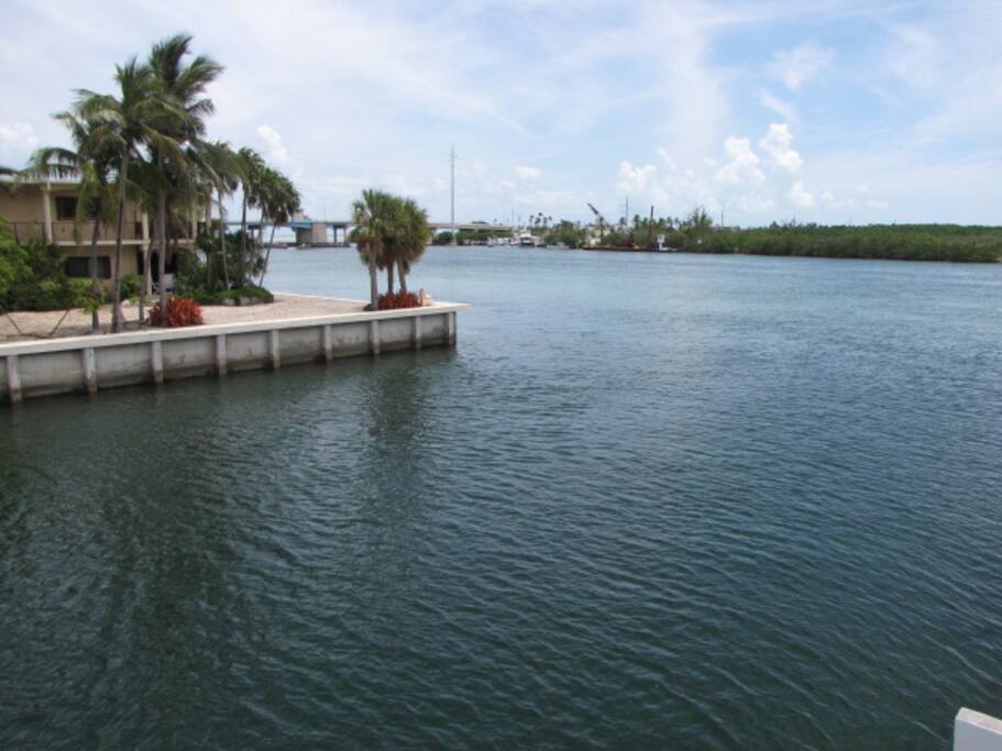 Great swimming, kayaking and paddle boarding
