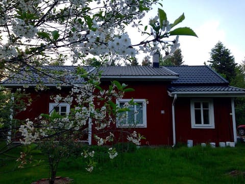 Tipula - Little Farmhouse