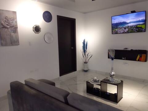 PENTHOUSE APARTMENT