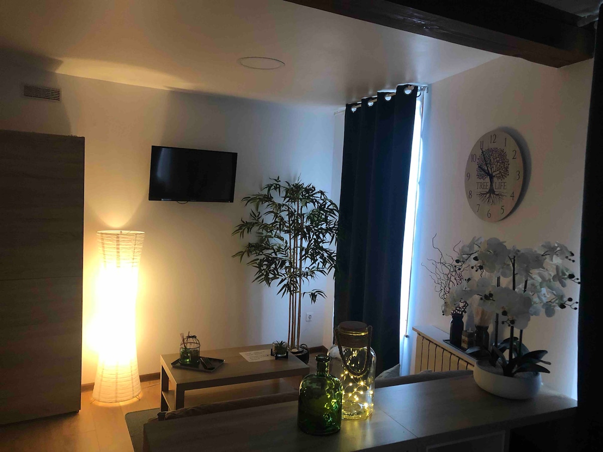 Successful Airbnb property: Amis de la Moselle Studio in Diocèse De Metz