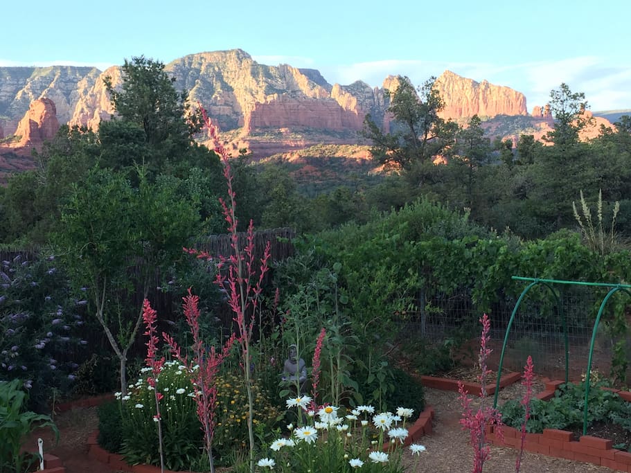 View from the backyard deck