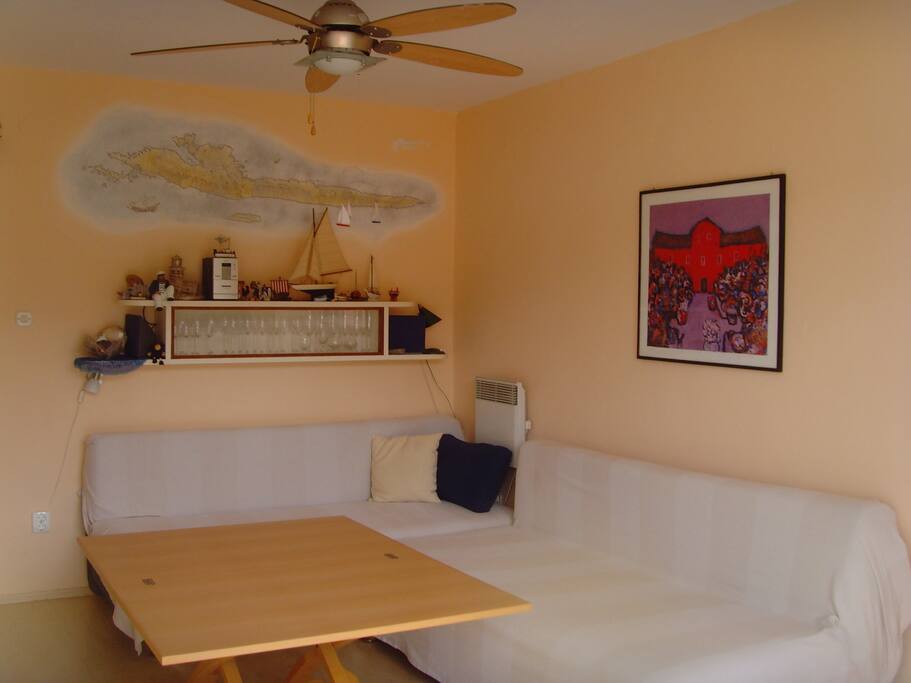 Living room / bedroom