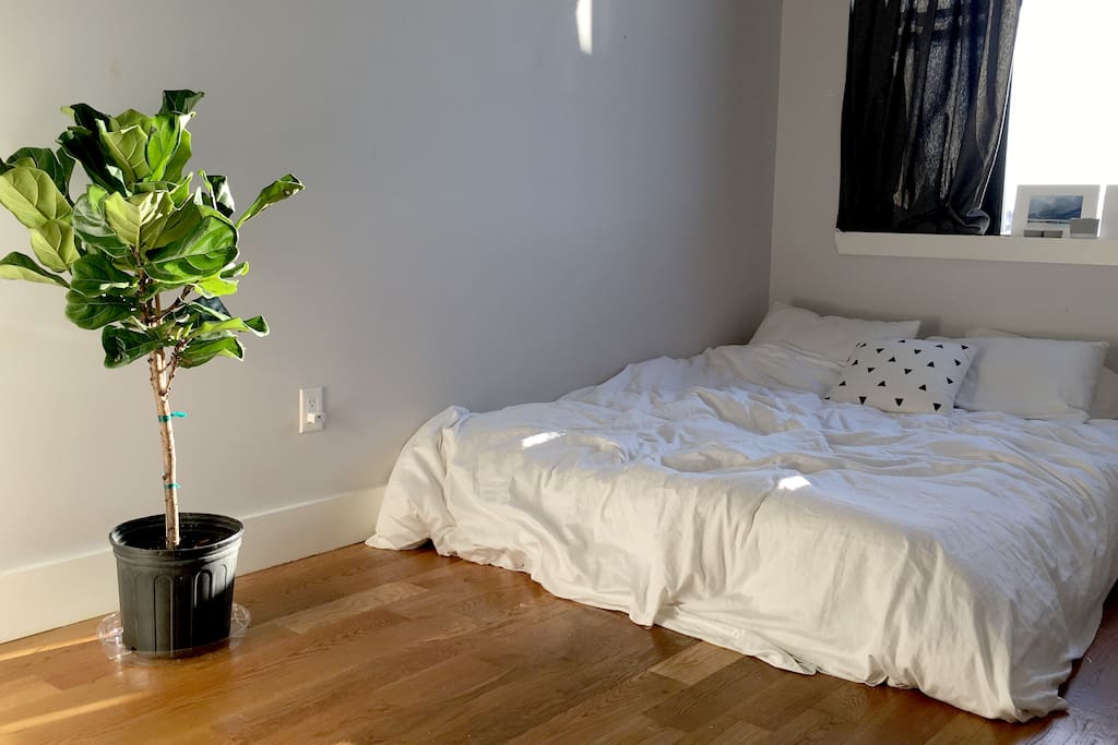 Bright bedroom. Queen sized bed. Built in closet.