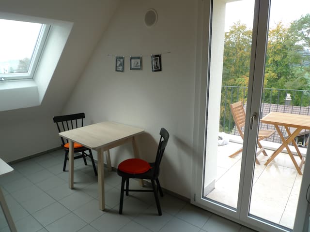 Double Bed Room in Loft above Rotsee Lake