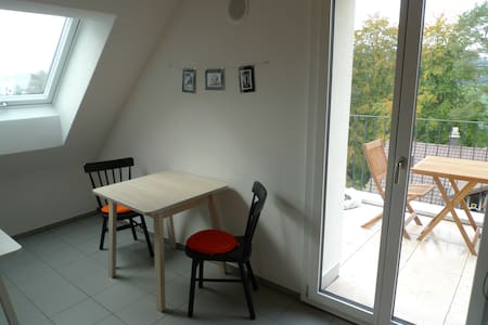 Double Bed Room in Loft above Rotsee Lake