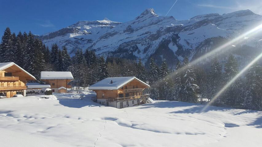 Luxury chalet in Les Diablerets / Villars ski area