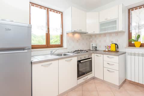 Successful Airbnb property: Apartments Radović (4+0) in Presika